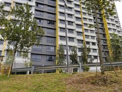 Blk 464A Clementi Peaks (Clementi), HDB 5 Rooms #558051011
